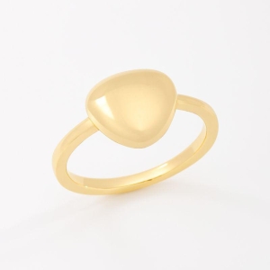 ANEL COM DESIGN LISO EM FORMATO ORGÂNICO