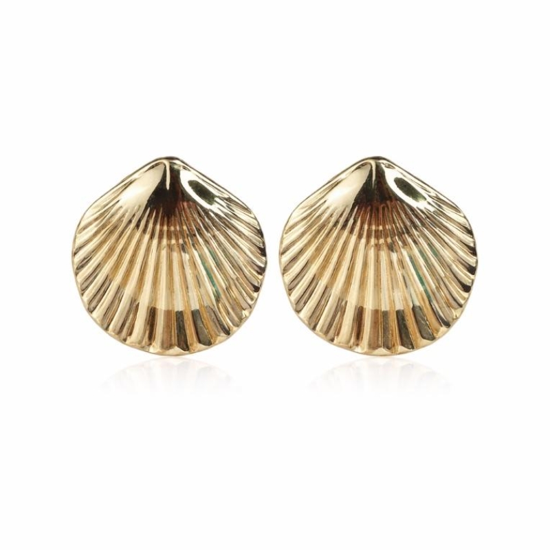 BRINCO CONCHA GRANDE