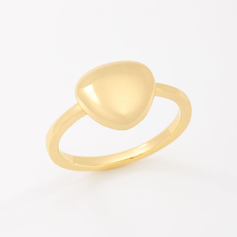 ANEL COM DESIGN LISO EM FORMATO ORGÂNICO